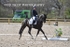 BPP_0084