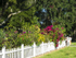 A Fence in Winter Garden Fl