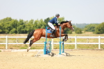SBM_000950