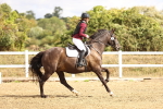 SBM_006568