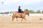 SBM_03395