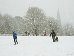 Redhill common