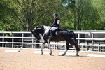 WJ6_8390