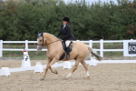 SBM_002911