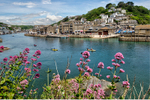 Looking across The River Looe and wild Valerian flowers