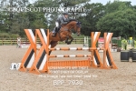 BPP_7930