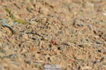 230415A-104934-00841