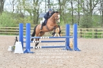BPP_3323