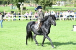 SBM_50281