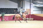 SBM_03529