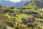 Glaramara-296