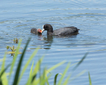 20140517-3K8A1408