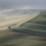 Landscape-079
