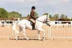 SBM_13196