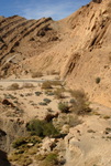 Metlaoui Saharan Atlas mountains and wadi
