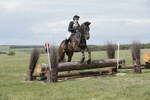 BVHT 140517  NXC -536