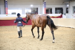 SBM_23391