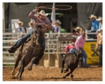 Rodeo Portfolio - Misc 02