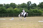 WJ6_5338