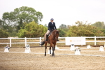 SBM_001051