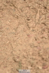 230621A-114348-00201