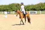 SBM_008531