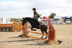 SBM_03353