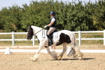 SBM_006552