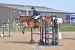 British Novice and 90cm Open portfolio