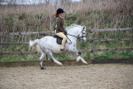 SBM_006356