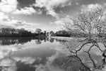 Carew Tidal Mill in Monochrome