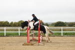 SBM_006498