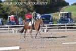BPP_8735