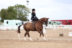SBM_03488