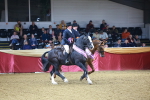 SBM_15204
