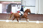 SBM_011536
