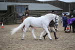 SBM_006408