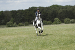 BVHT 140517  NXC -39