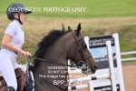 BPP_2941
