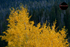 _DSC0618