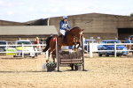 SBM_003314