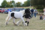 WJ6_6654