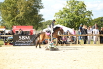 SBM_39445