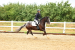SBM_000567