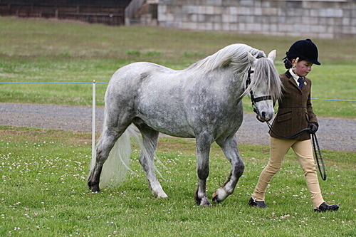 Deveron Pony Club