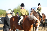 SBM_00394