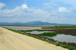 Evros Delta, East Macedonia and Thrace, Greece