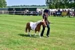 SBM_03462