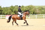 SBM_010060