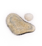 Winter Stones #2--Long Point Beach